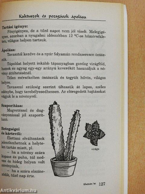 Kaktuszok és pozsgások ápolása