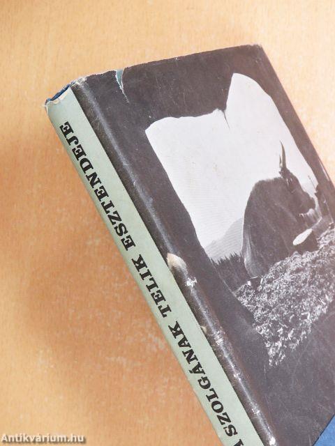 Mikor a szolgának telik esztendeje