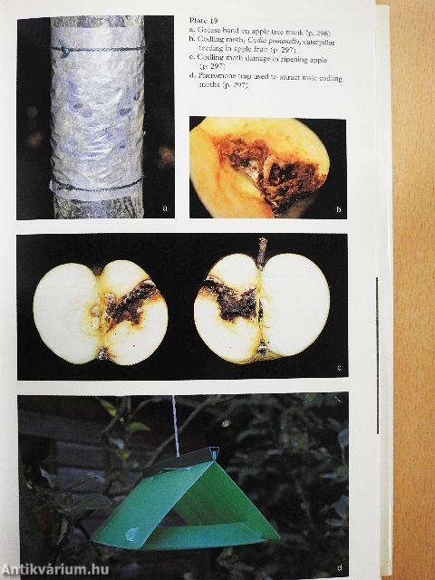 Pests, Diseases & Disorders of Garden Plants