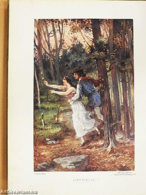 Vörösmarty-Album (rossz állapotú)