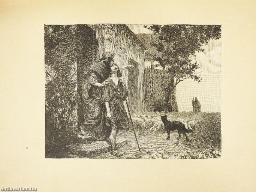 Bibliai képek az Ó- és Új-Szövetségből I-II. (rossz állapotú)