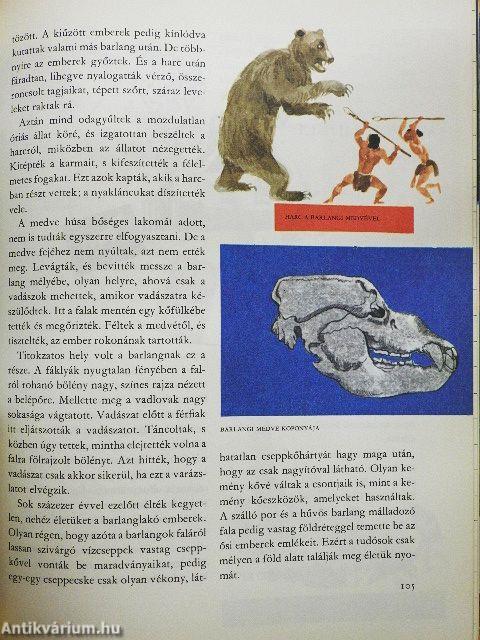 A világ és az ember