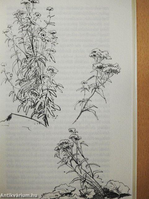 Seinerzeit in den Bergen