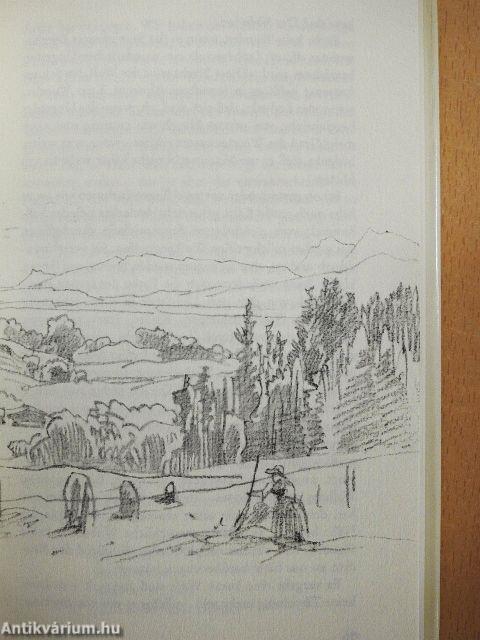 Seinerzeit in den Bergen