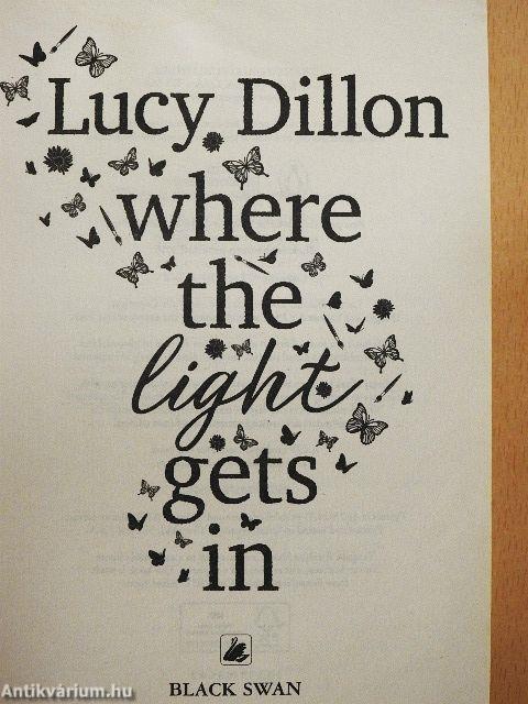 Where the light gets in