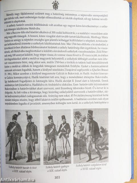 A nemes székely nemzet képe