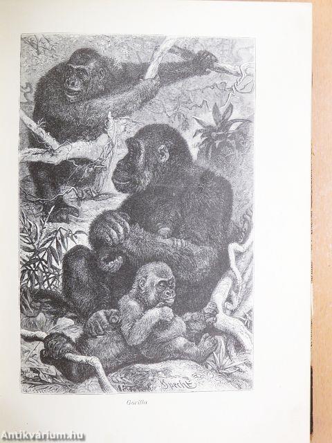 Brehm - Az állatok világa 1-10. (rossz állapotú)