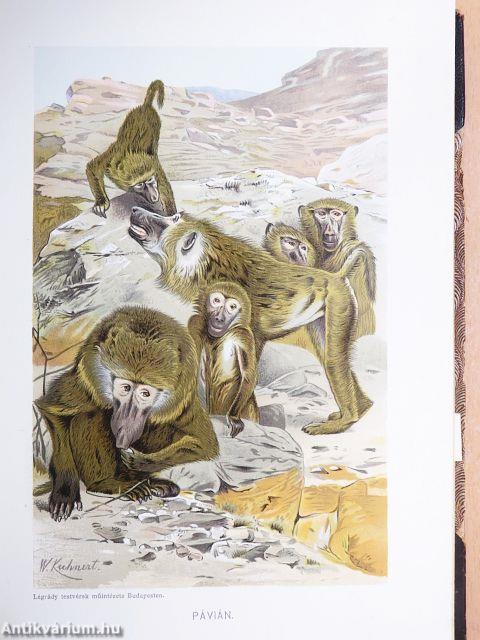 Brehm - Az állatok világa 1-10. (rossz állapotú)