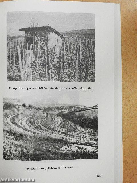 Tokaj-hegyalja szőlő- és borgazdaságának földrajzi alapjai és jellemzői