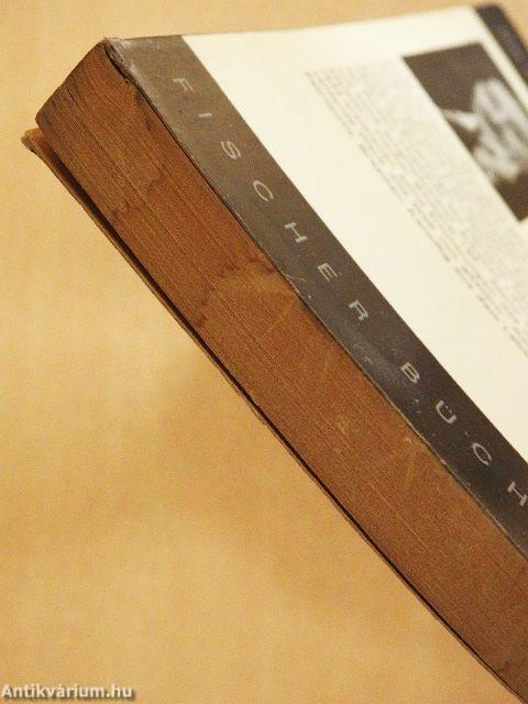 Drei Dichter ihres Lebens