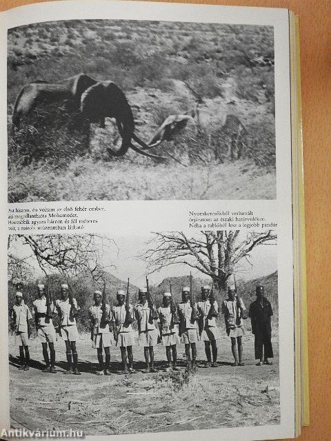 Oroszlánok között