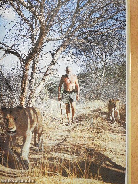 Oroszlánok között