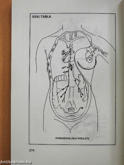 Talpraállított egészség