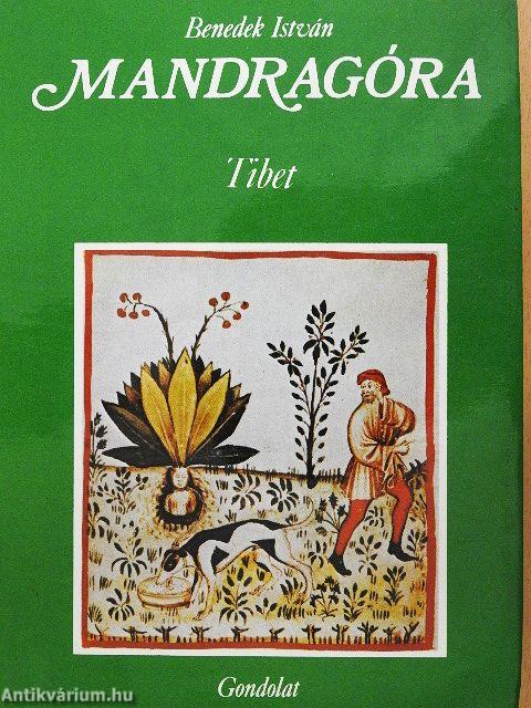 Mandragóra I-II.