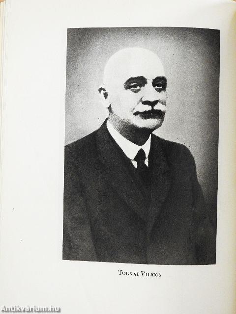 A magyar nyelv életrajza