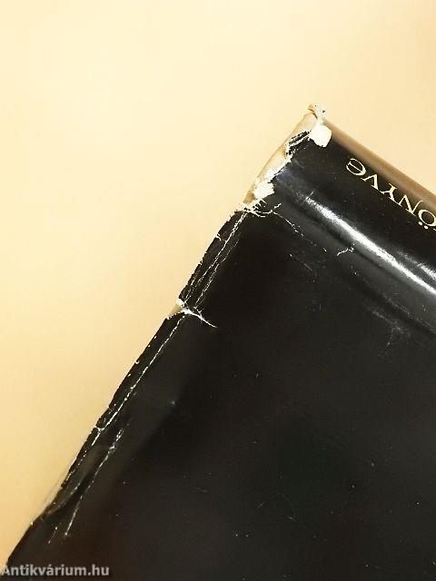 A magyar irodalom képeskönyve