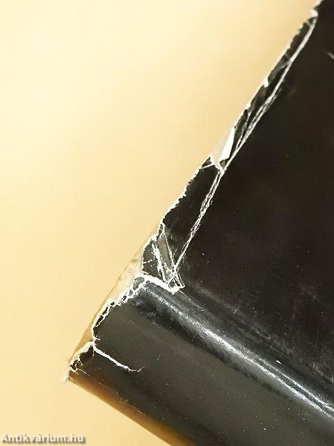 A magyar irodalom képeskönyve