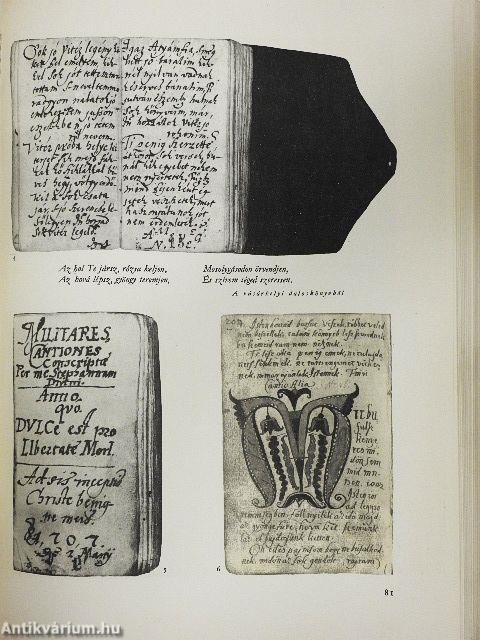 A magyar irodalom képeskönyve