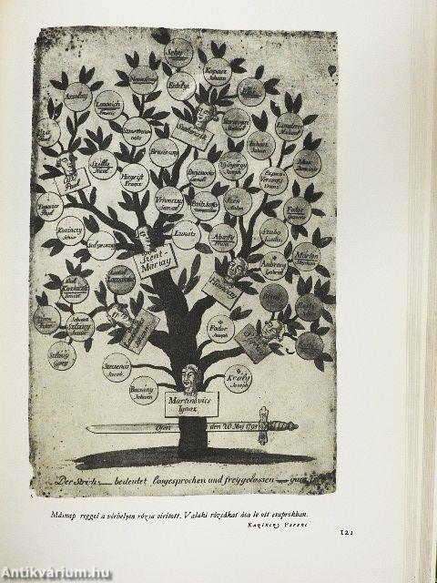 A magyar irodalom képeskönyve