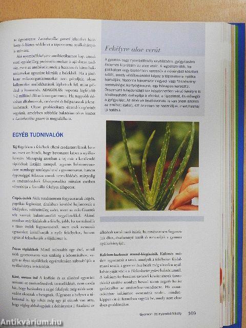 Terítéken az egészség