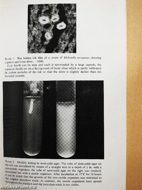 Lecture Notes on Medical Microbiology