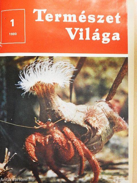 Természet Világa 1980. január-december