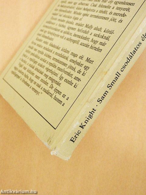 Sam Small csodálatos élete