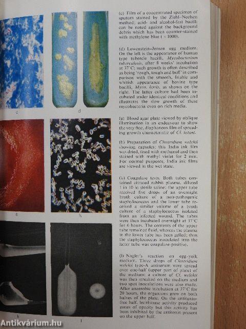 Lecture Notes on Medical Microbiology