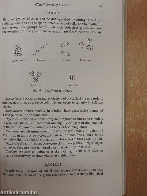 Lecture Notes on Medical Microbiology