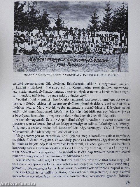 "...édes Hazámnak akartam szolgálni..."