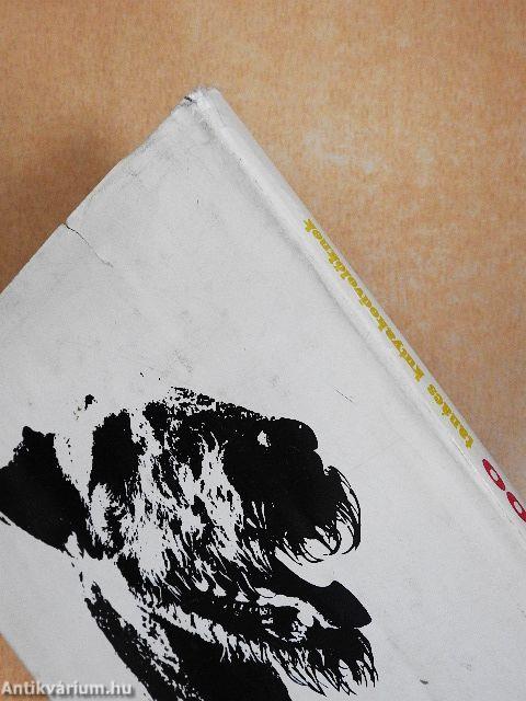 400 tanács kutyakedvelőknek