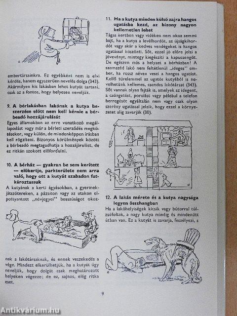 400 tanács kutyakedvelőknek