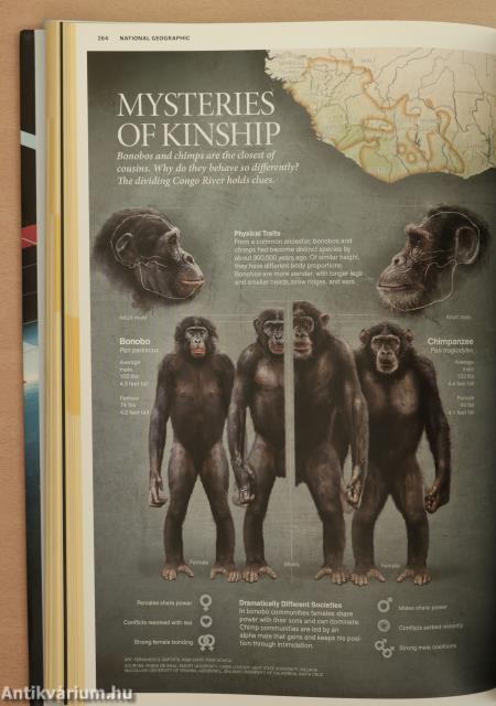 National Geographic Infographics