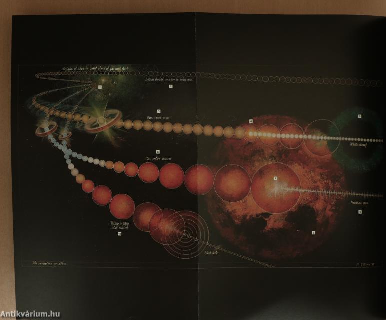 National Geographic Infographics
