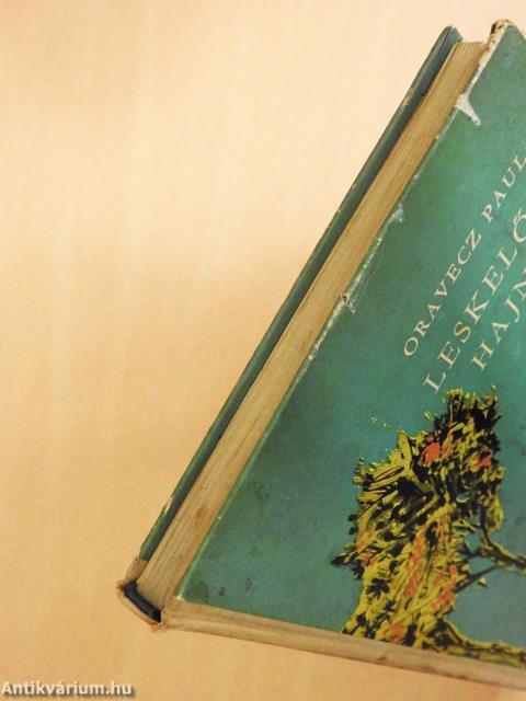 Leskelődő hajnal (dedikált példány)