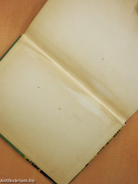 Leskelődő hajnal (dedikált példány)