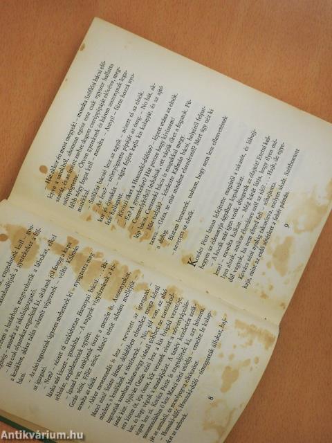 Leskelődő hajnal (dedikált példány)