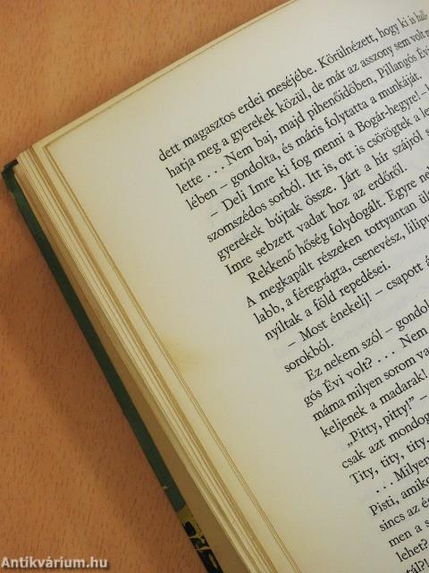 Leskelődő hajnal (dedikált példány)