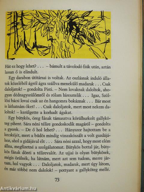 Leskelődő hajnal (dedikált példány)