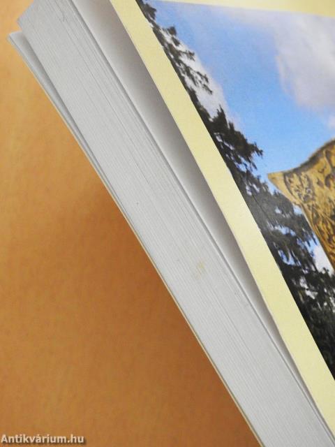 Ön-sorsrontó gonosz anyám és áldozatai (dedikált példány)