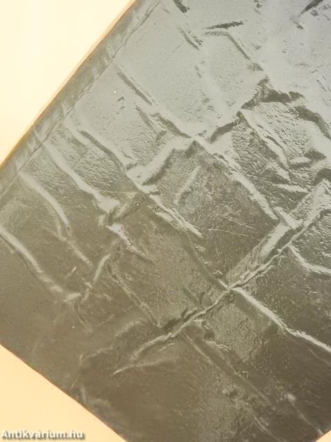 Zsarnokok futára (dedikált példány)