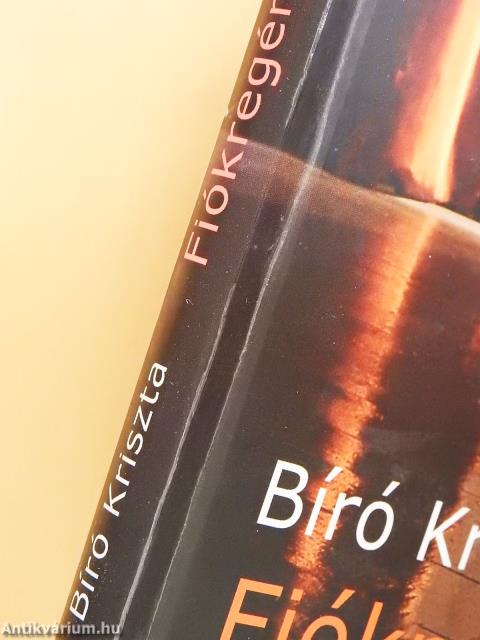Fiókregény (dedikált példány)