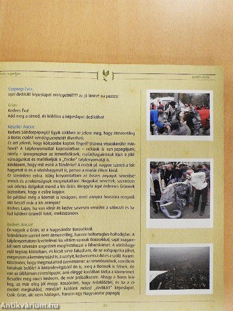 Lali király papagája voltam avagy Grün Blog