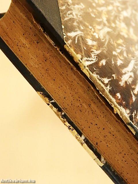 Geschichte der Wanderung