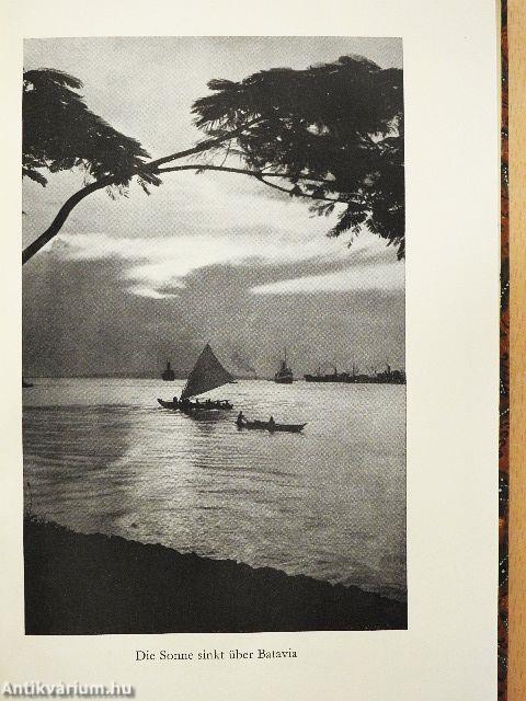 Heitere Tage mit braunen Menschen