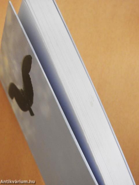 Viharmadár (dedikált példány)