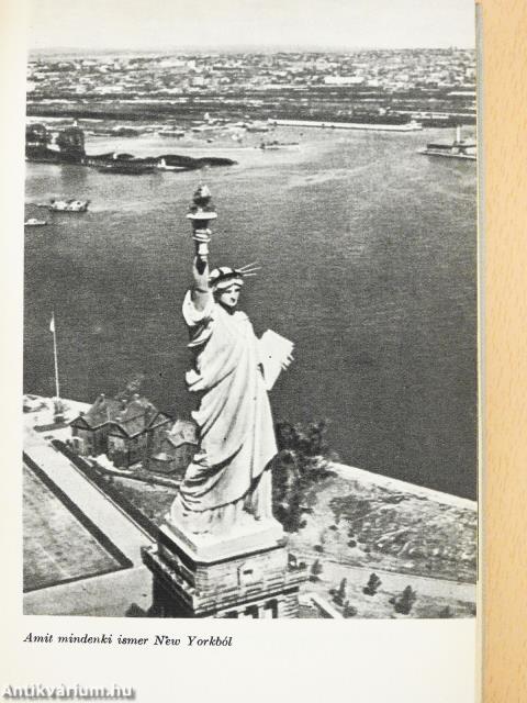 Feleség voltam New Yorkban (dedikált példány)