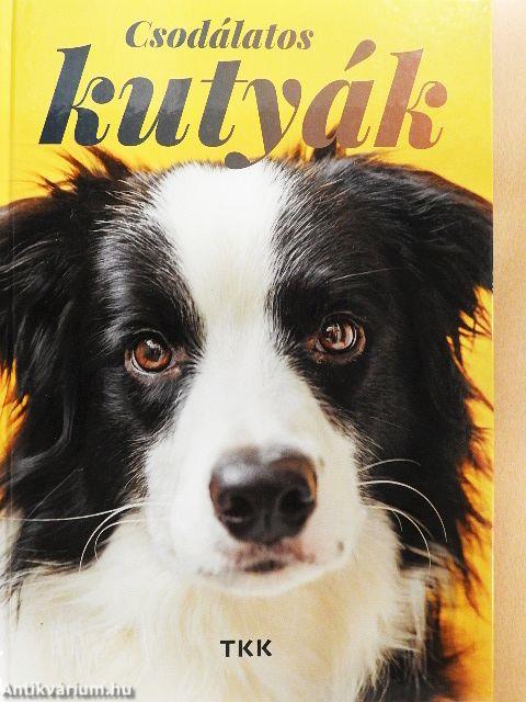 Csodálatos kutyák