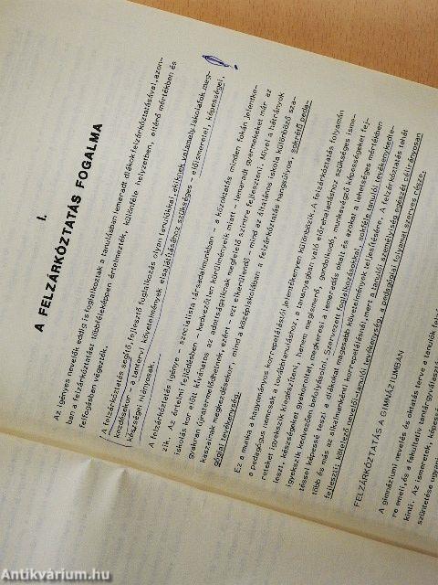 Útmutató a gimnáziumi tanulók felzárkóztatásához