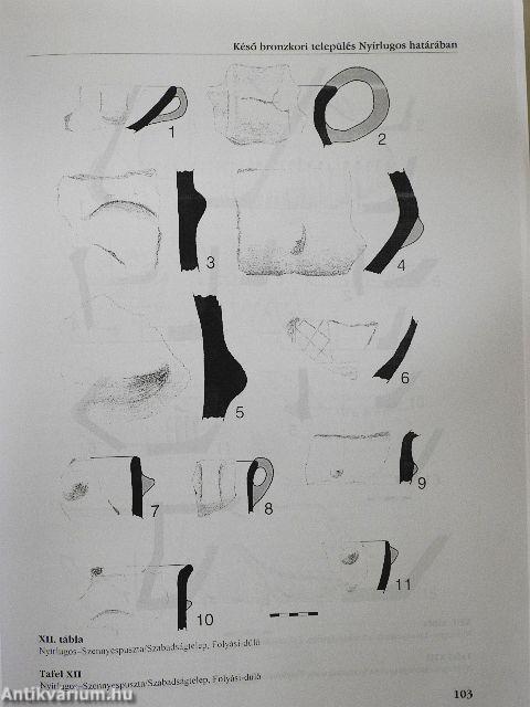 A Nyíregyházi Jósa András Múzeum évkönyve XLVII.